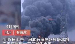 石家庄房屋爆料事件视频,揭露背后的真相与争议