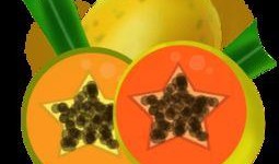 吃瓜贴纸素材下载网站免费,轻松下载，打造个性趣味生活